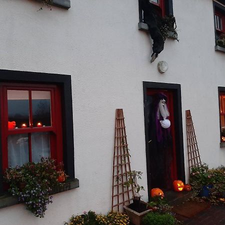 Nellys Bed&Bikes Hotel Westport Esterno foto