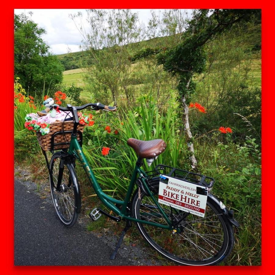 Nellys Bed&Bikes Hotel Westport Esterno foto