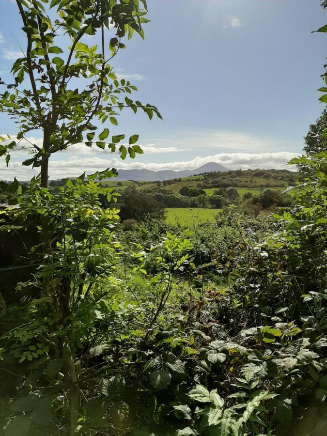 Nellys Bed&Bikes Hotel Westport Esterno foto