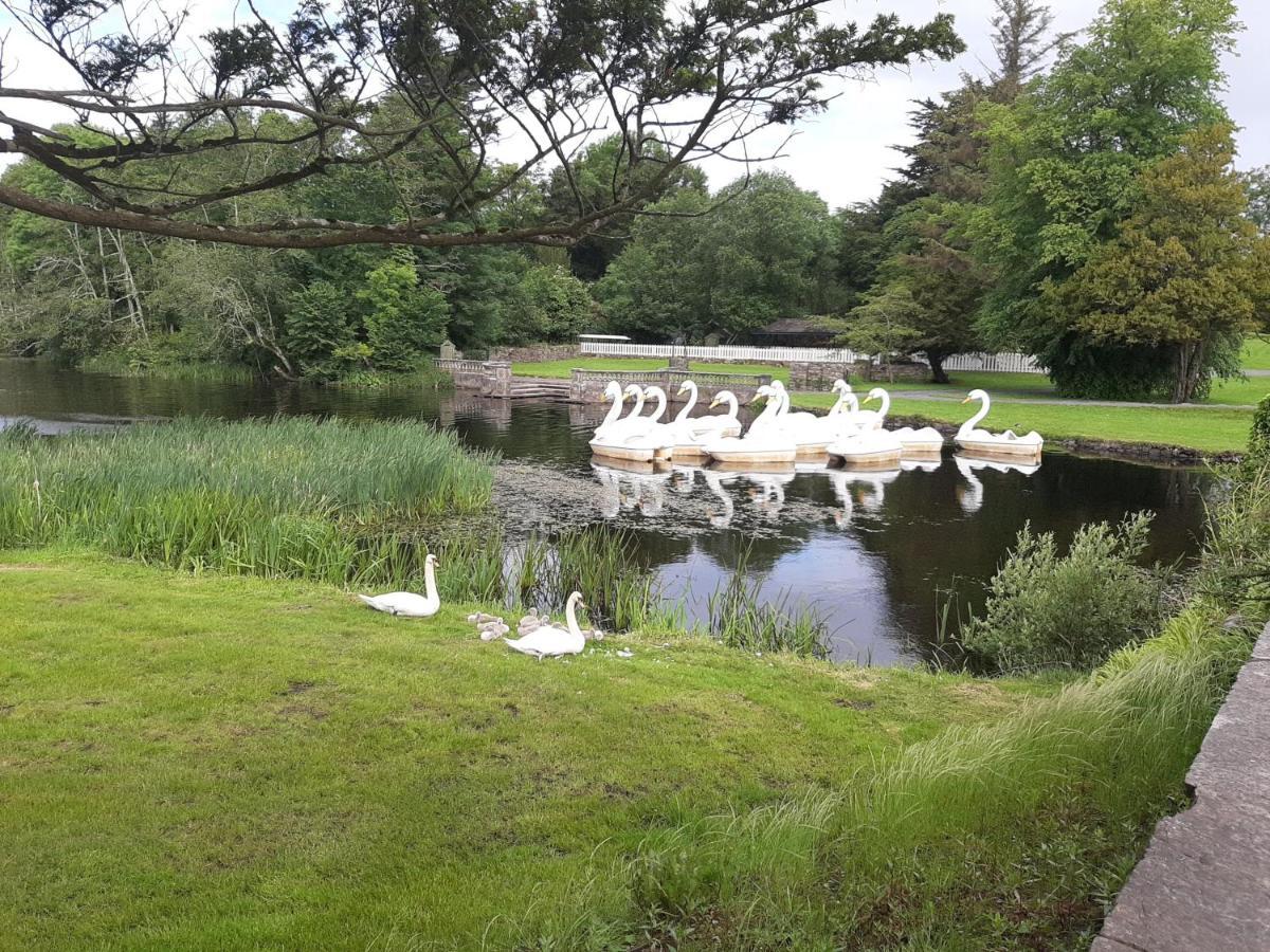 Nellys Bed&Bikes Hotel Westport Esterno foto